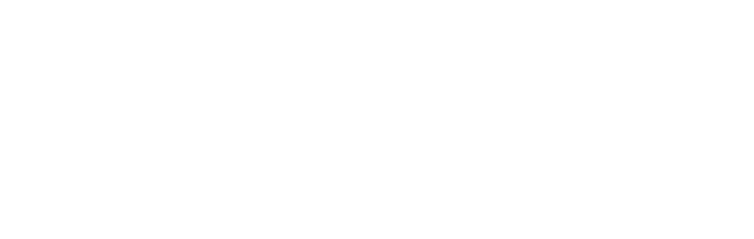 The Stone & Wheel Pizzeria